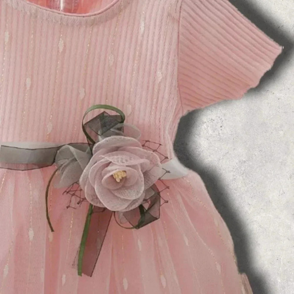 Pink  Tule Baby Girls Dress - Picture 3 of 5